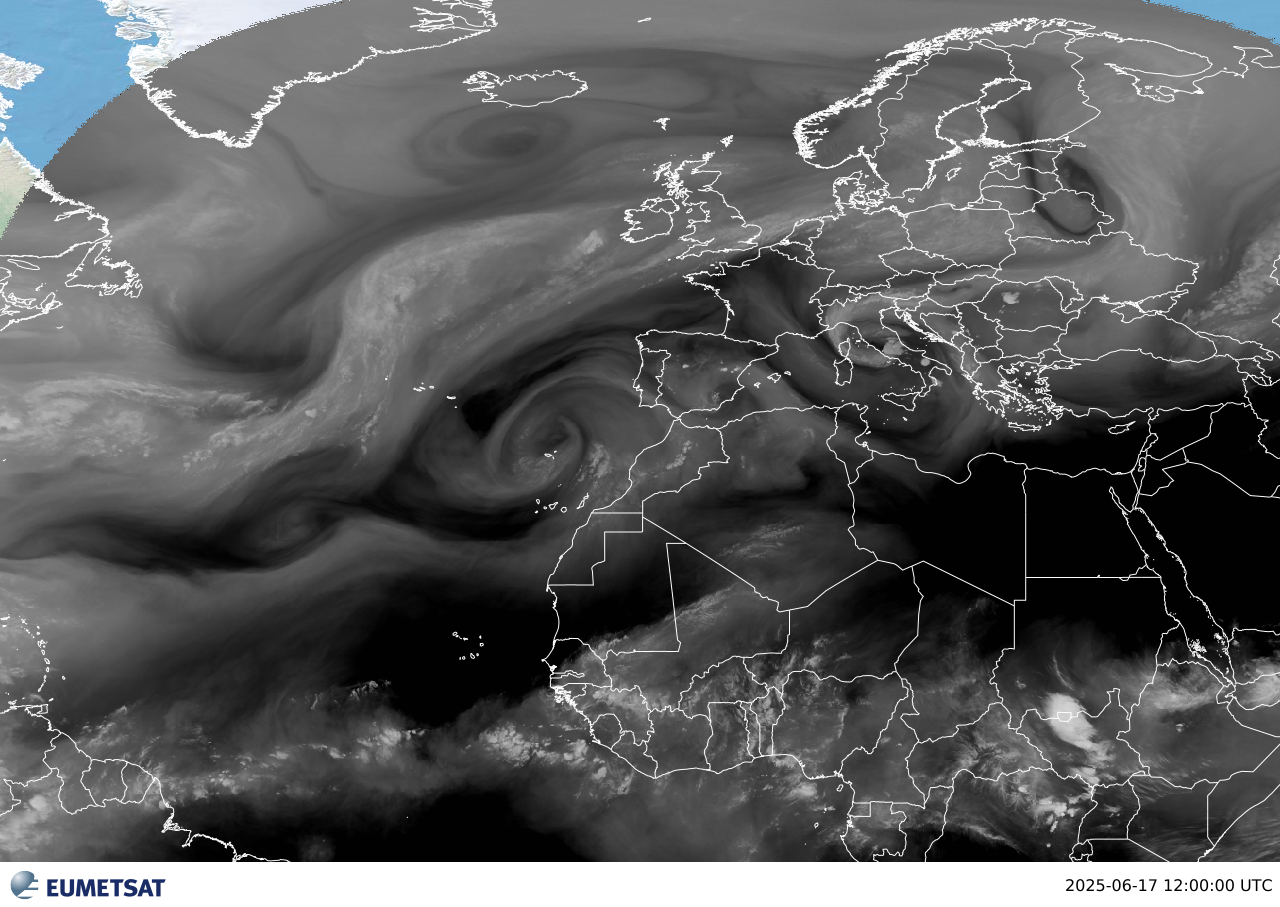 wmsMap_2025-06-17T1200.png