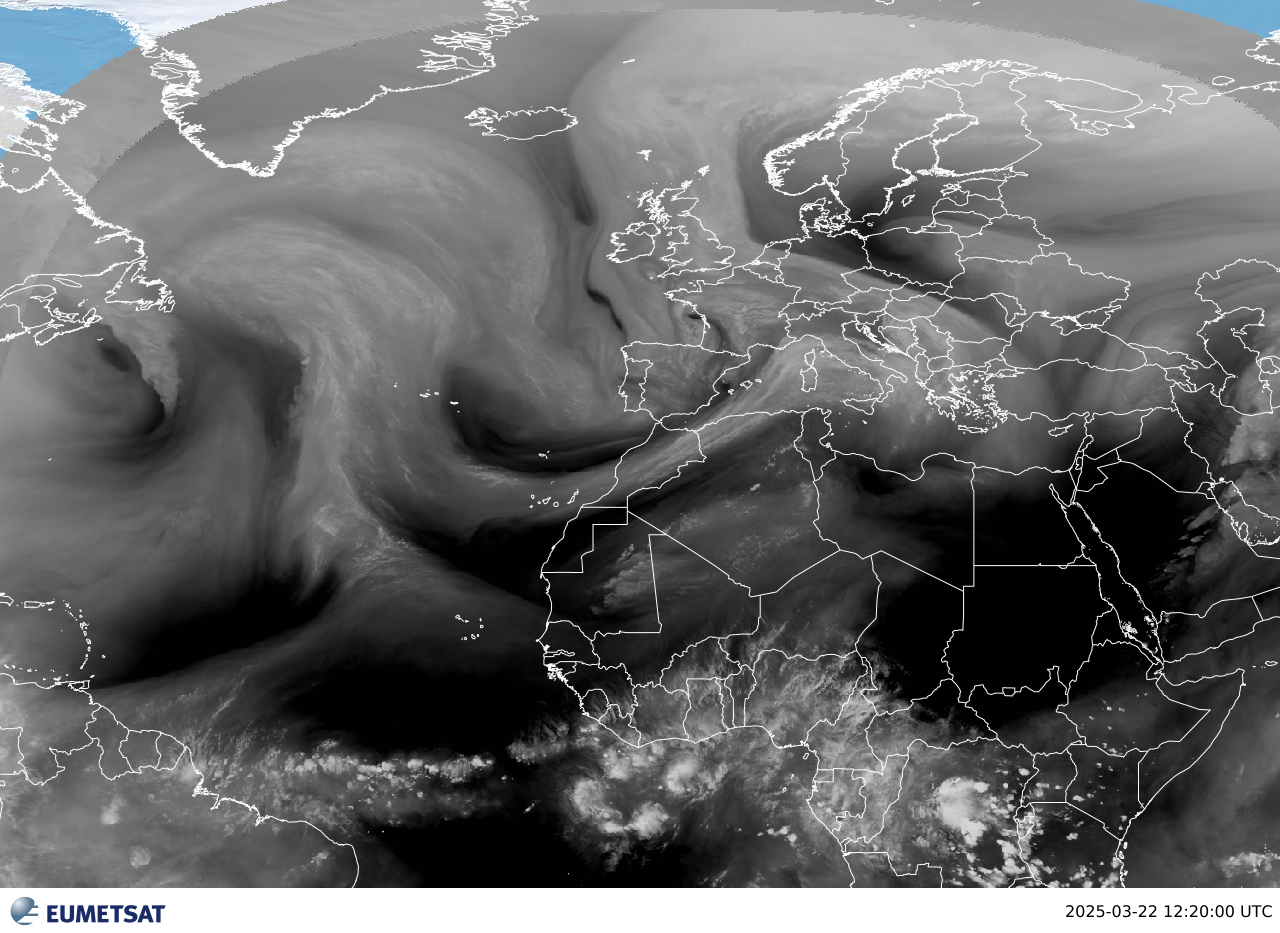 wmsMap_2025-03-22T1220.png